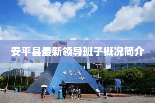安平县最新领导班子概况简介