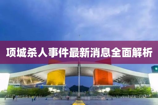 项城杀人事件最新消息全面解析