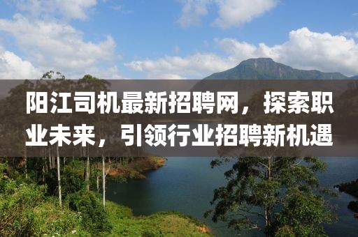 阳江司机最新招聘网，探索职业未来，引领行业招聘新机遇