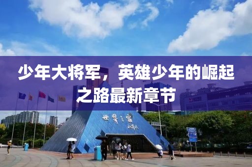 少年大将军，英雄少年的崛起之路最新章节