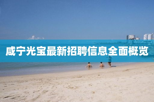 咸宁光宝最新招聘信息全面概览