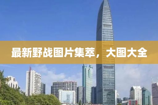 最新野战图片集萃，大图大全