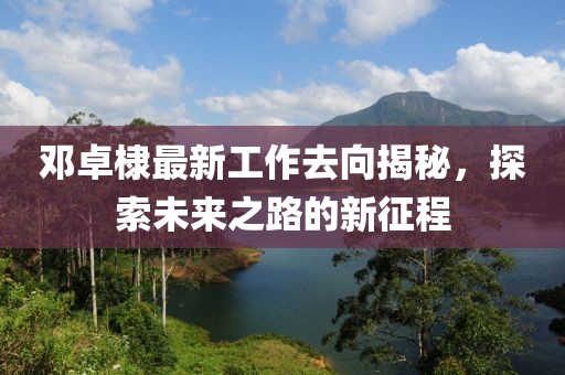 邓卓棣最新工作去向揭秘，探索未来之路的新征程