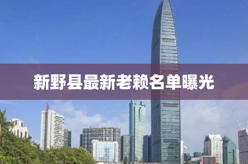 新野县最新老赖名单曝光