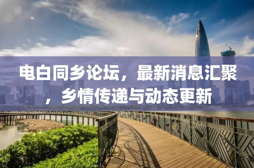 电白同乡论坛，最新消息汇聚，乡情传递与动态更新