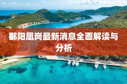 鄱阳凰岗最新消息全面解读与分析