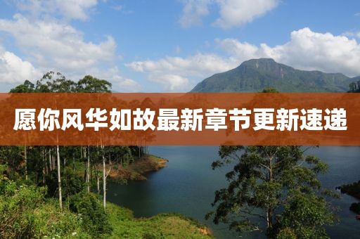 愿你风华如故最新章节更新速递