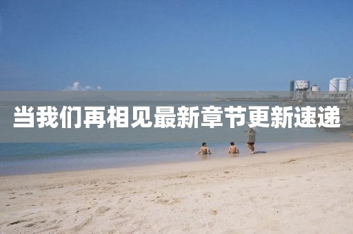 当我们再相见最新章节更新速递
