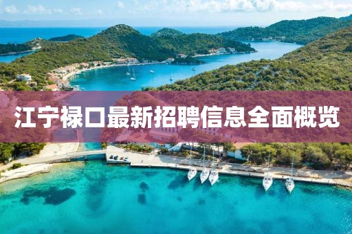 江宁禄口最新招聘信息全面概览