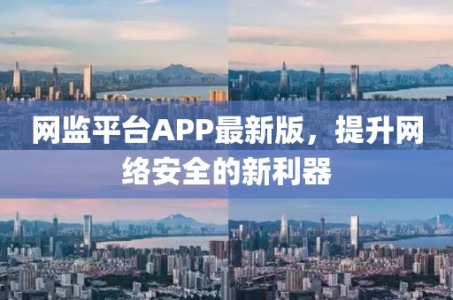 网监平台APP最新版，提升网络安全的新利器
