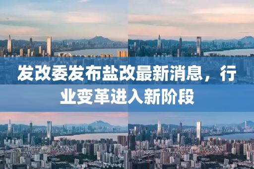 发改委发布盐改最新消息，行业变革进入新阶段