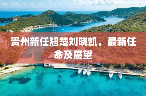贵州新任翘楚刘晓凯，最新任命及展望