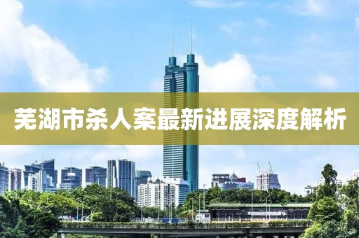芜湖市杀人案最新进展深度解析