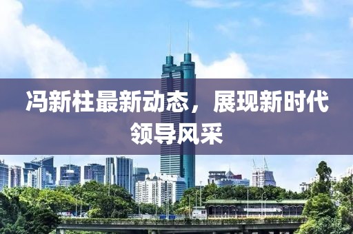 冯新柱最新动态，展现新时代领导风采