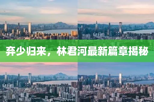 弃少归来，林君河最新篇章揭秘