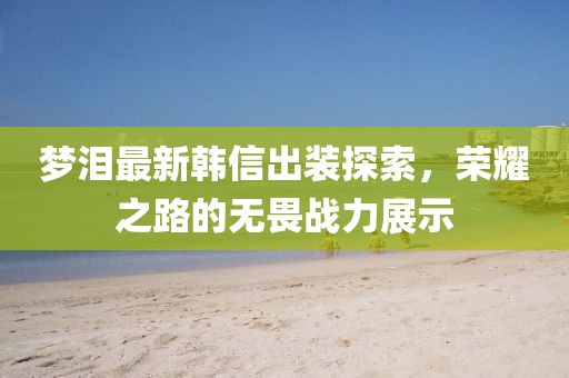 梦泪最新韩信出装探索，荣耀之路的无畏战力展示
