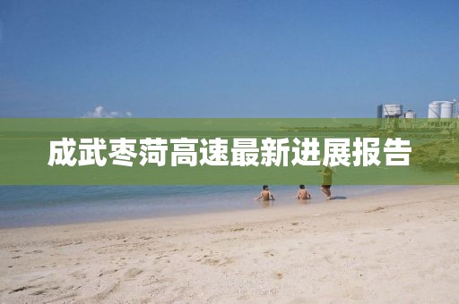 成武枣菏高速最新进展报告