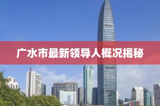 广水市最新领导人概况揭秘