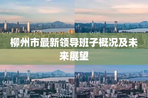 柳州市最新领导班子概况及未来展望