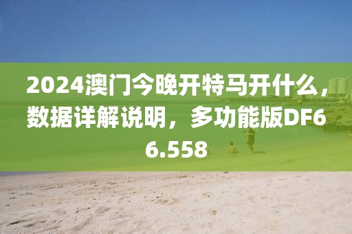 2024澳门今晚开特马开什么，数据详解说明，多功能版DF66.558