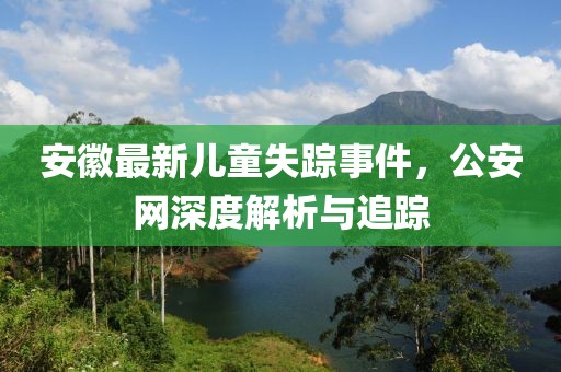 安徽最新儿童失踪事件，公安网深度解析与追踪