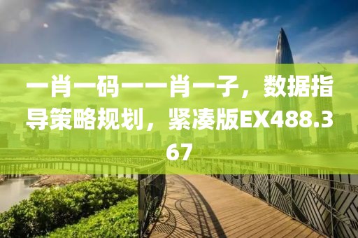 一肖一码一一肖一子，数据指导策略规划，紧凑版EX488.367