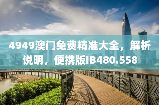 4949澳门免费精准大全，解析说明，便携版IB480.558
