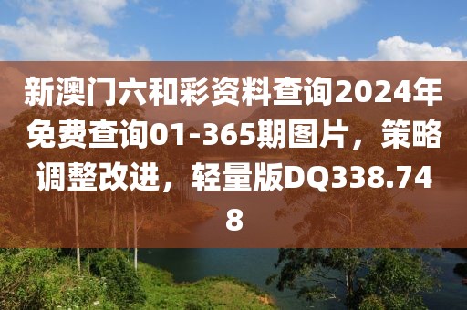 新澳门六和彩资料查询2024年免费查询01-365期图片，策略调整改进，轻量版DQ338.748
