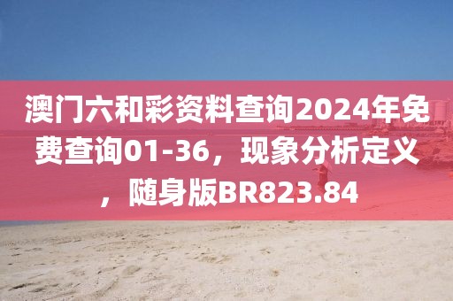 澳门六和彩资料查询2024年免费查询01-36，现象分析定义，随身版BR823.84