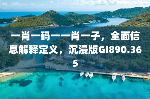 一肖一码一一肖一子，全面信息解释定义，沉浸版GI890.365