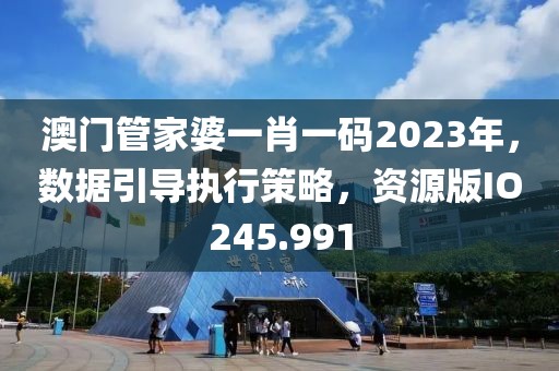 澳门管家婆一肖一码2023年，数据引导执行策略，资源版IO245.991