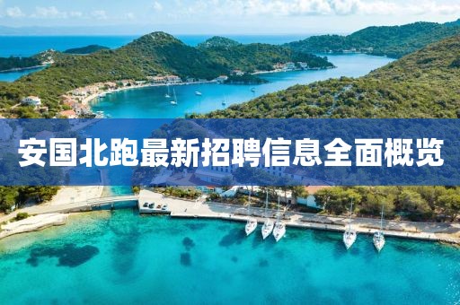 安国北跑最新招聘信息全面概览