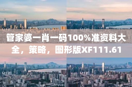 管家婆一肖一码100%准资料大全，策略，图形版XF111.61