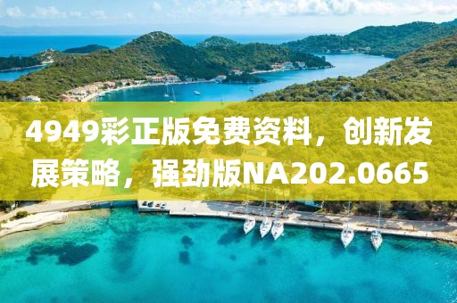 4949彩正版免费资料，创新发展策略，强劲版NA202.0665