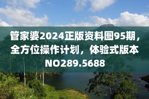管家婆2024正版资料图95期，全方位操作计划，体验式版本NO289.5688