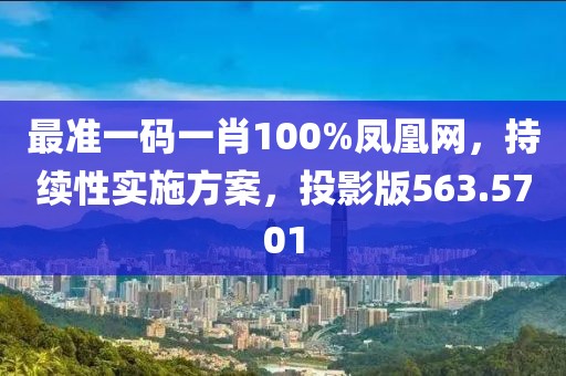 最准一码一肖100%凤凰网，持续性实施方案，投影版563.5701