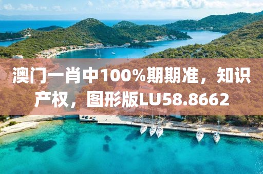 澳门一肖中100%期期准，知识产权，图形版LU58.8662