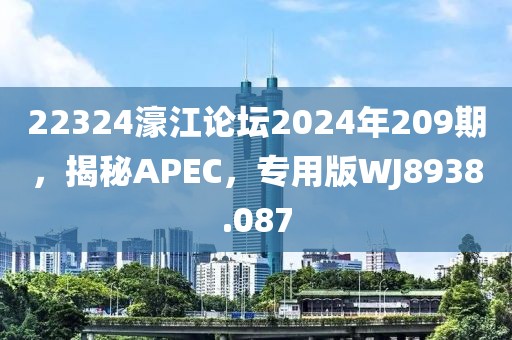 22324濠江论坛2024年209期，揭秘APEC，专用版WJ8938.087