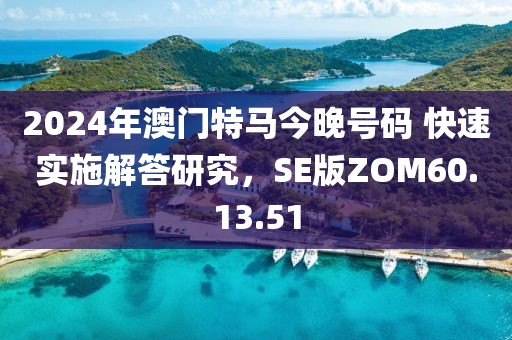 2024年澳门特马今晚号码 快速实施解答研究，SE版ZOM60.13.51
