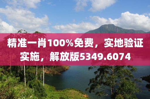 精准一肖100%免费，实地验证实施，解放版5349.6074
