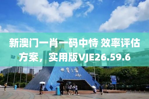 新澳门一肖一码中恃 效率评估方案，实用版VJE26.59.6