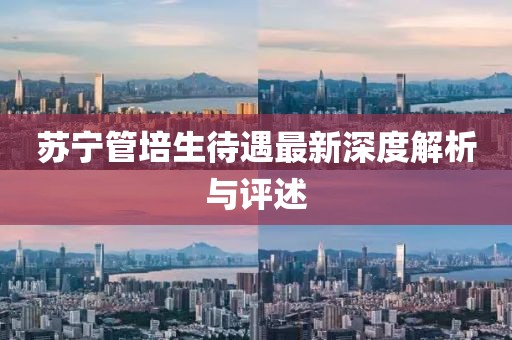 苏宁管培生待遇最新深度解析与评述