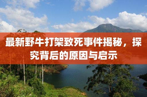 最新野牛打架致死事件揭秘，探究背后的原因与启示