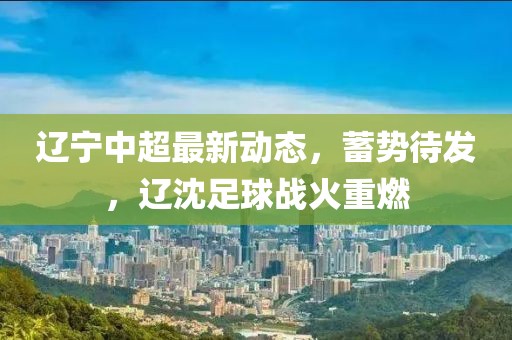 辽宁中超最新动态，蓄势待发，辽沈足球战火重燃