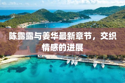 陈露露与姜华最新章节，交织情感的进展