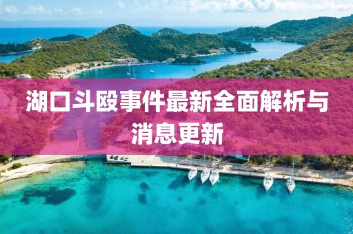 湖口斗殴事件最新全面解析与消息更新