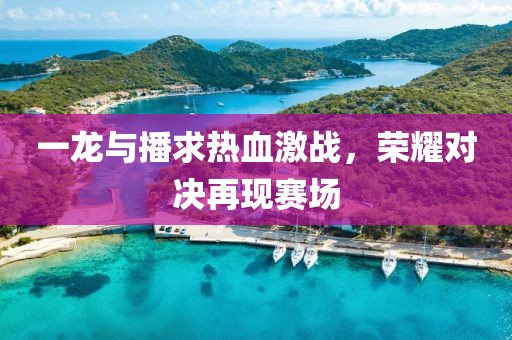 一龙与播求热血激战，荣耀对决再现赛场
