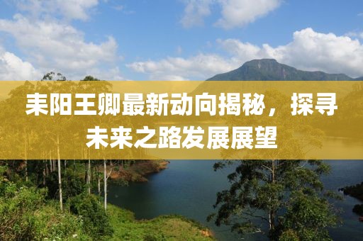 耒阳王卿最新动向揭秘，探寻未来之路发展展望