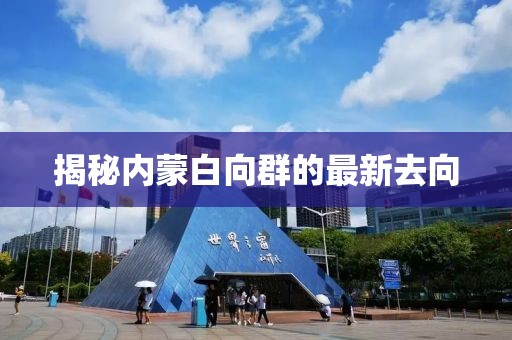 揭秘内蒙白向群的最新去向
