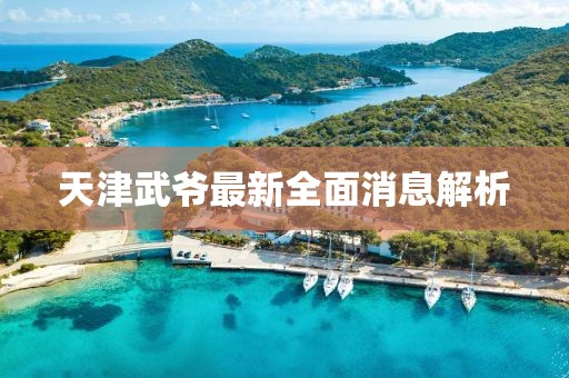 天津武爷最新全面消息解析